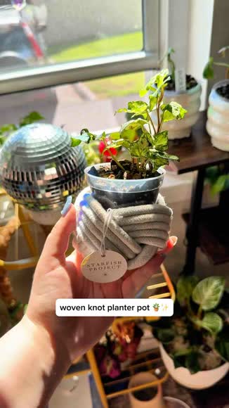 Video review of Starfish Project Mini Unbound Planter  by zoe.ugcportfolio