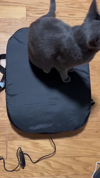Video review of Aceletiqs Portable Heating Pad Stadium Seat Cushion for Bleachers  by 67924a8586e6a60c80091a48