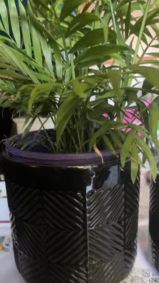 Video review of Sagebrook Home Textured Planters  by 6781f9763c4c34eb0ad522b9