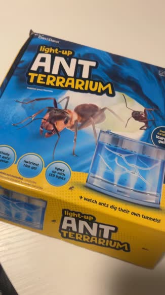 Video review of Dan&Darci Light-up Ant Terrarium Kit for Kids – LED Habitat for Live Ants with Nutrient Rich Gel - Nature Learning, Science Experiment Gift for Boys & Girls  by 678e208b54433dd43822c177