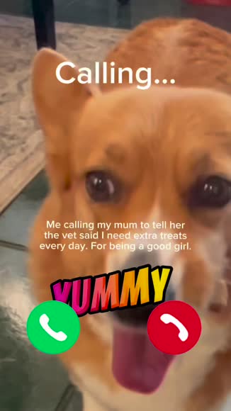 Video review of PETBEING Green A Day - Veggie Strips | Vegetarian Supplement Chew For Dogs  by 67924a8586e6a60c80091a48