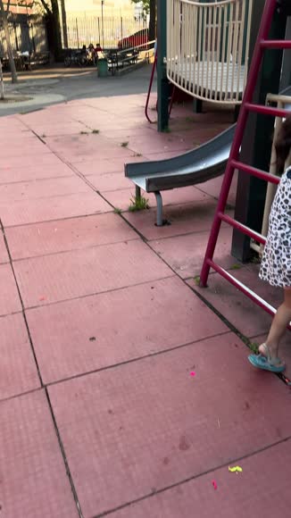 Video review of Clips Holidays  by 6757bdf215c2e56266f57680