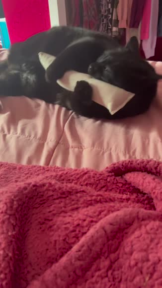 Video review of The Kind Pet Cat Kicker Toy for Bunny Kicks in Hemp and Cotton with Organic Catnip | Natural & Non Toxic Cat Toy | Zero Waste | Made in the USA  by 68616a1f1247c49342a6619d