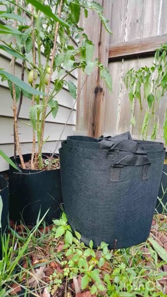 Video review of Sunnydaze Black Garden Grow Bags for Vegetables With Carrying Handles - 7 Gallon  by meera-karki2007