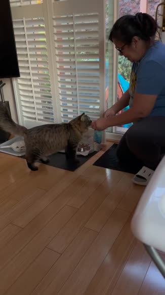 Video review of TickledPet Cod Food Topper for Cats  by 677dbf1880631e421a6456b1