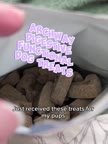 Video review of Archway Pet Digestive Health Dog Pet Treats  by 678afce2d6f93da7fd3a8744