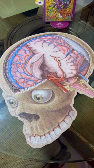 Video review of Genius Games Human Brain Anatomy Jigsaw Puzzle  by vanesalazar0630