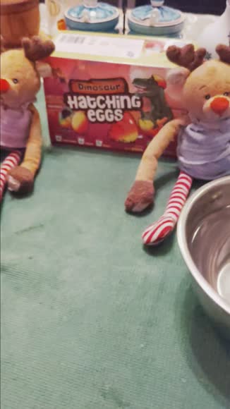Video review of Dan&Darci Dinosaur Hatching Surprise Eggs for Kids - 6 Pack - Grows 600% - Dino Egg Toys for Boys & Girls Age 3-8 - Gift Ideas, Party Favors, Stocking Stuffers for 3+ Year Old Boy - Gifts for Ages 3 4 5 6 7 8  by 687690964697490d33e51c34