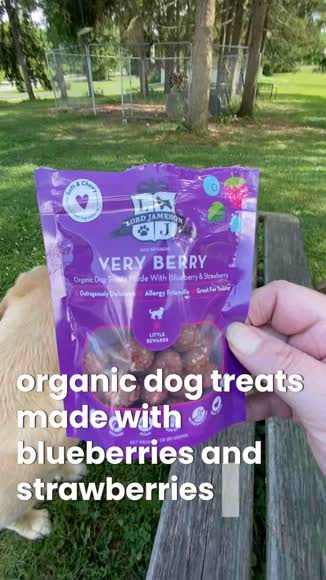 Video review of Lord Jameson Very Berry Organic Dog Treats  by 678bfcfb12ce41868a895f71