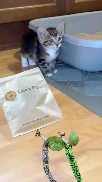 Video review of Leo's Paw Replacement Worms   by fostersforfelinefrie
