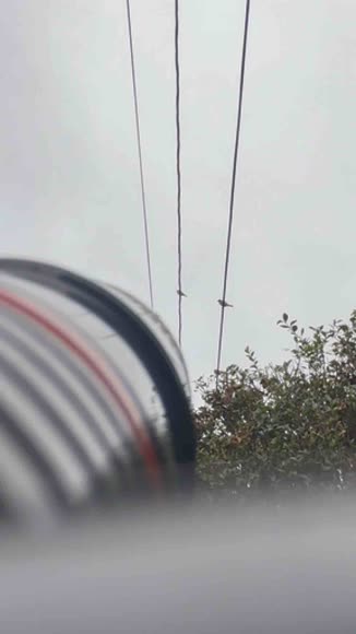 Video review of VistaShops Telephoto Pro Clear Image Lens Zooms 8 Times Closer  by 67bbde74feddf50959cf217e