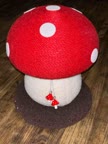 Video review of 8 Side Mushroom Cat Play House  by 67aa193227c6bba680a631b7