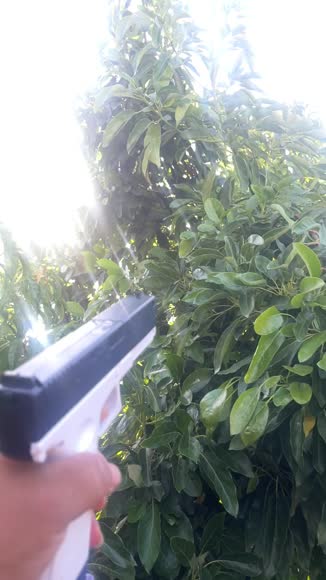 Video review of Plantoria Pure Rechargeable Large Capacity & Long Range Automatic Water Guns  by 67ce6bfd2095d7102f137fa7