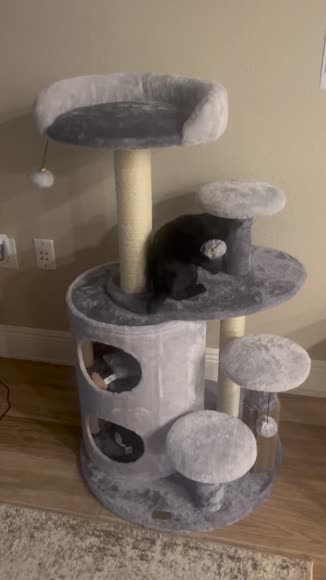 Video review of Gbruno Store Cat Tree Tower Multi-Level Activity Tree  by 685be661c3e0557d9e09d4af