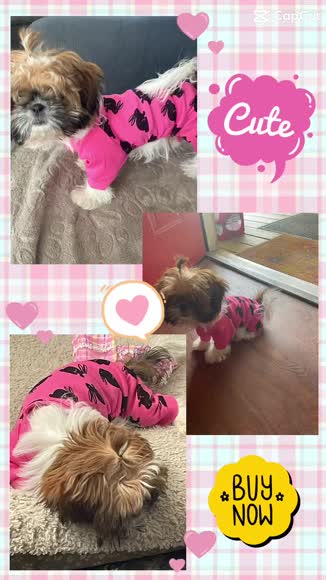 Video review of Leveret Clothing Dog Bunny Pajamas  by 67c7413fa6129a6937d233b1
