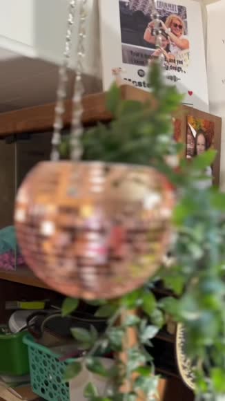 Video review of SCANDINORDICA Disco Ball Planter  by 677ee7ef0842b261e64d03ef