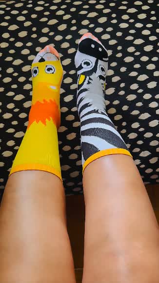 Video review of Pals Socks Adult Socks  by 679434882a3c35066c3665b0