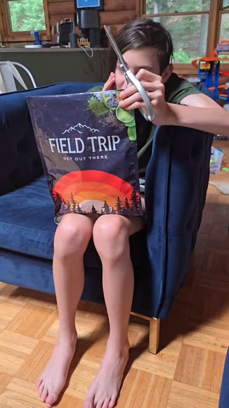 Video review of Field Trip Snacks Original Beef Jerky  by 67d04fff0cae29af6fa29598